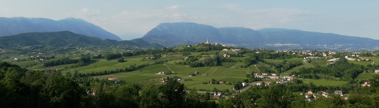 prosecco
